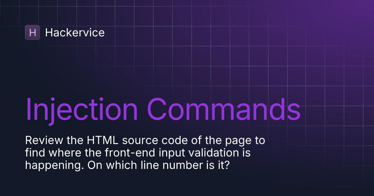 Injection Commands | Hackervice